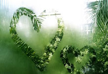 克罗地亚vs巴西的比赛有哪些精彩回放瞬间?